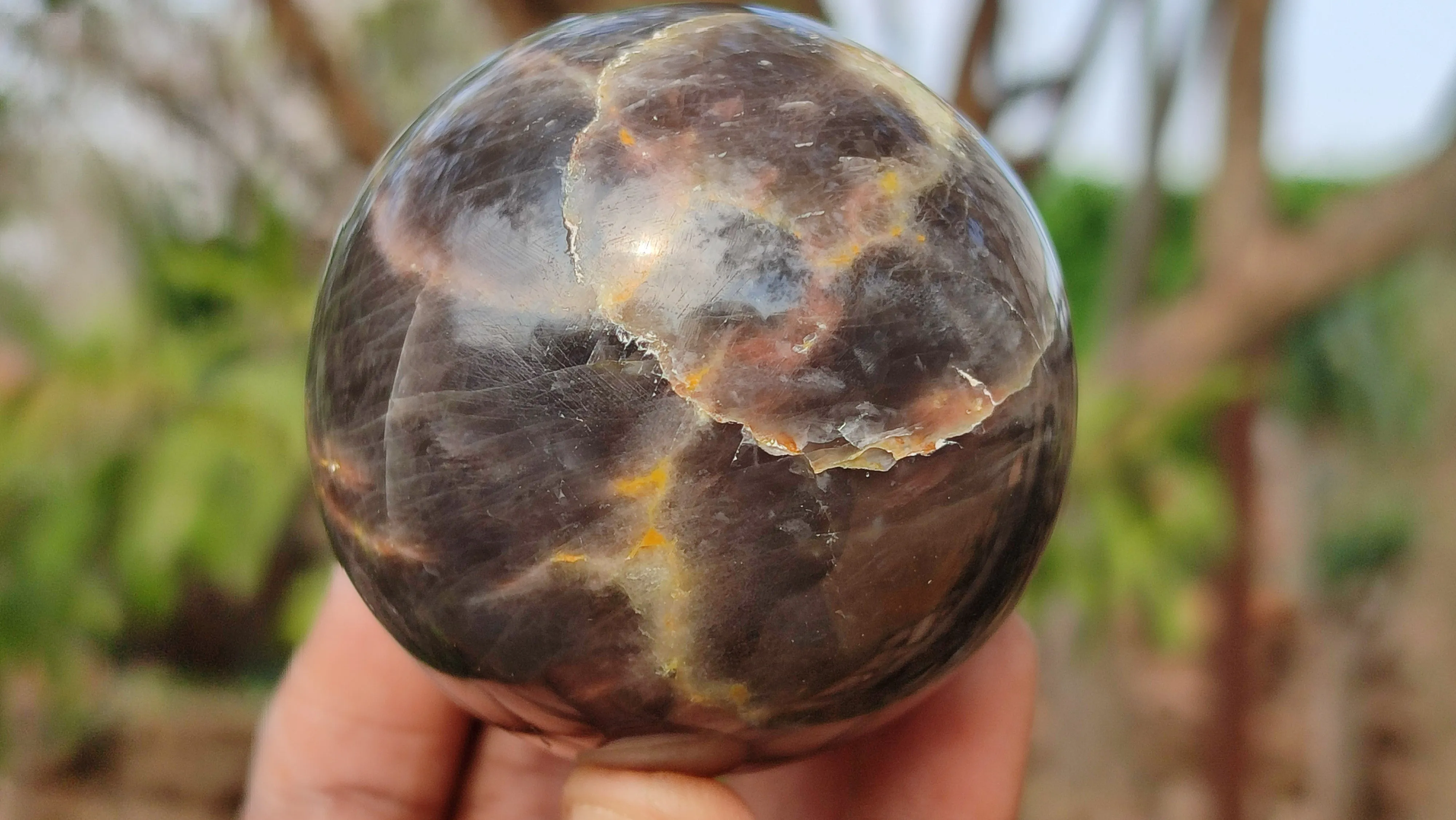 Polished  Chatoyant Black Moonstone Spheres x 6 From Madagascar