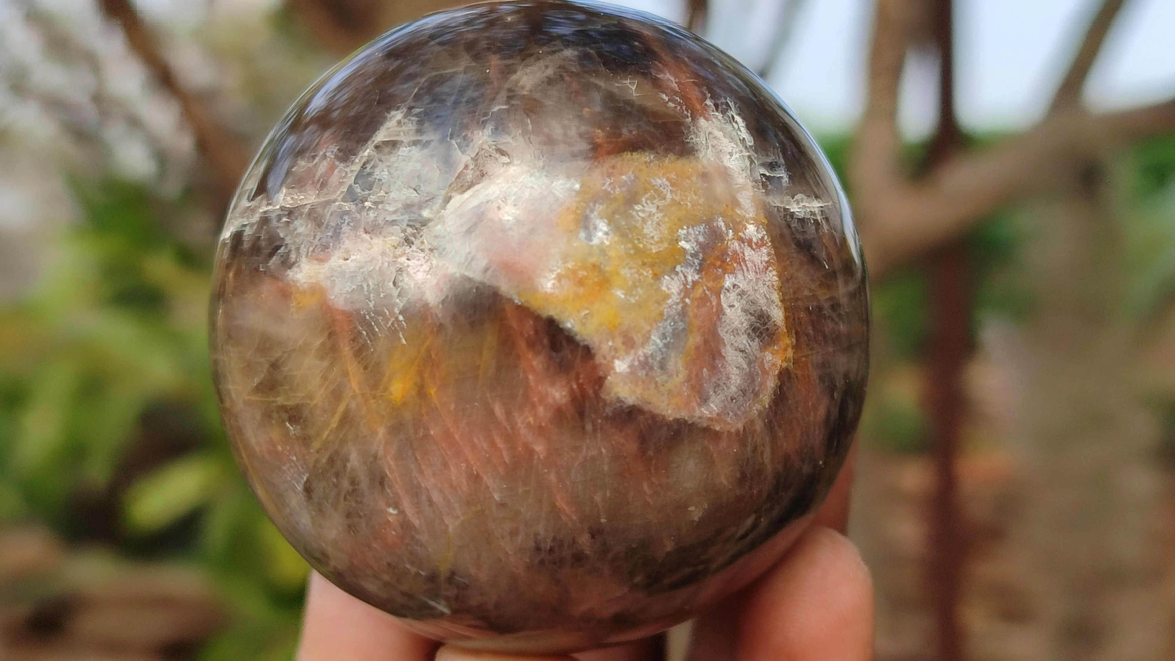 Polished  Chatoyant Black Moonstone Spheres x 6 From Madagascar