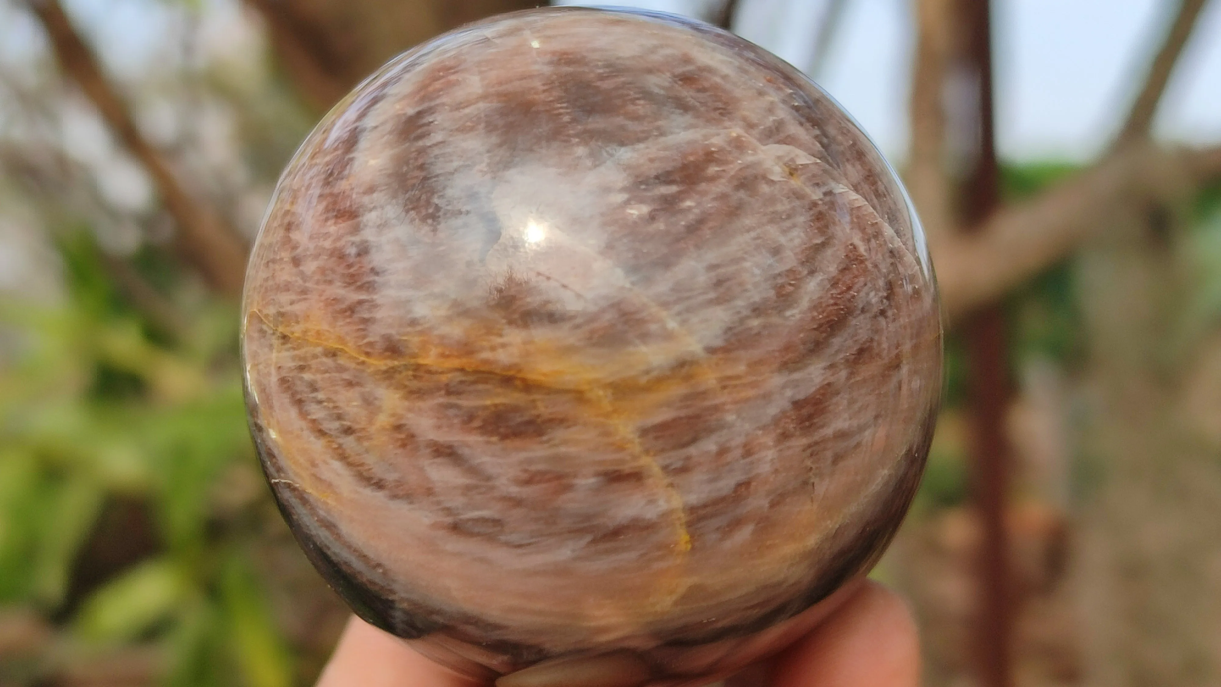 Polished  Chatoyant Black Moonstone Spheres x 6 From Madagascar