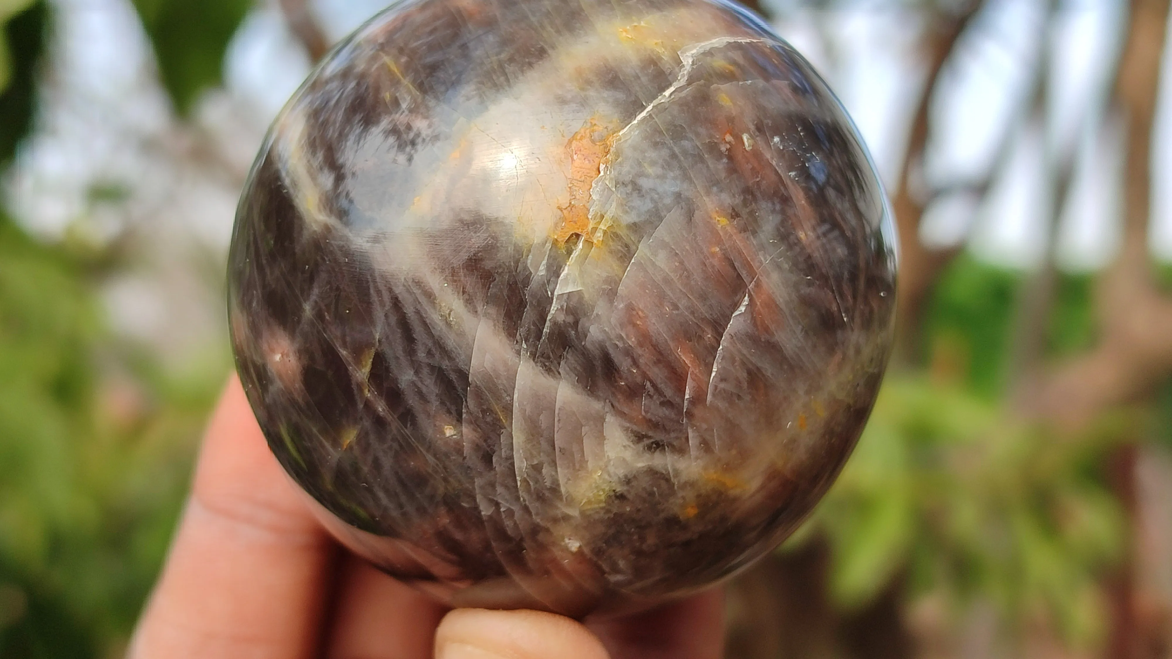 Polished  Chatoyant Black Moonstone Spheres x 6 From Madagascar