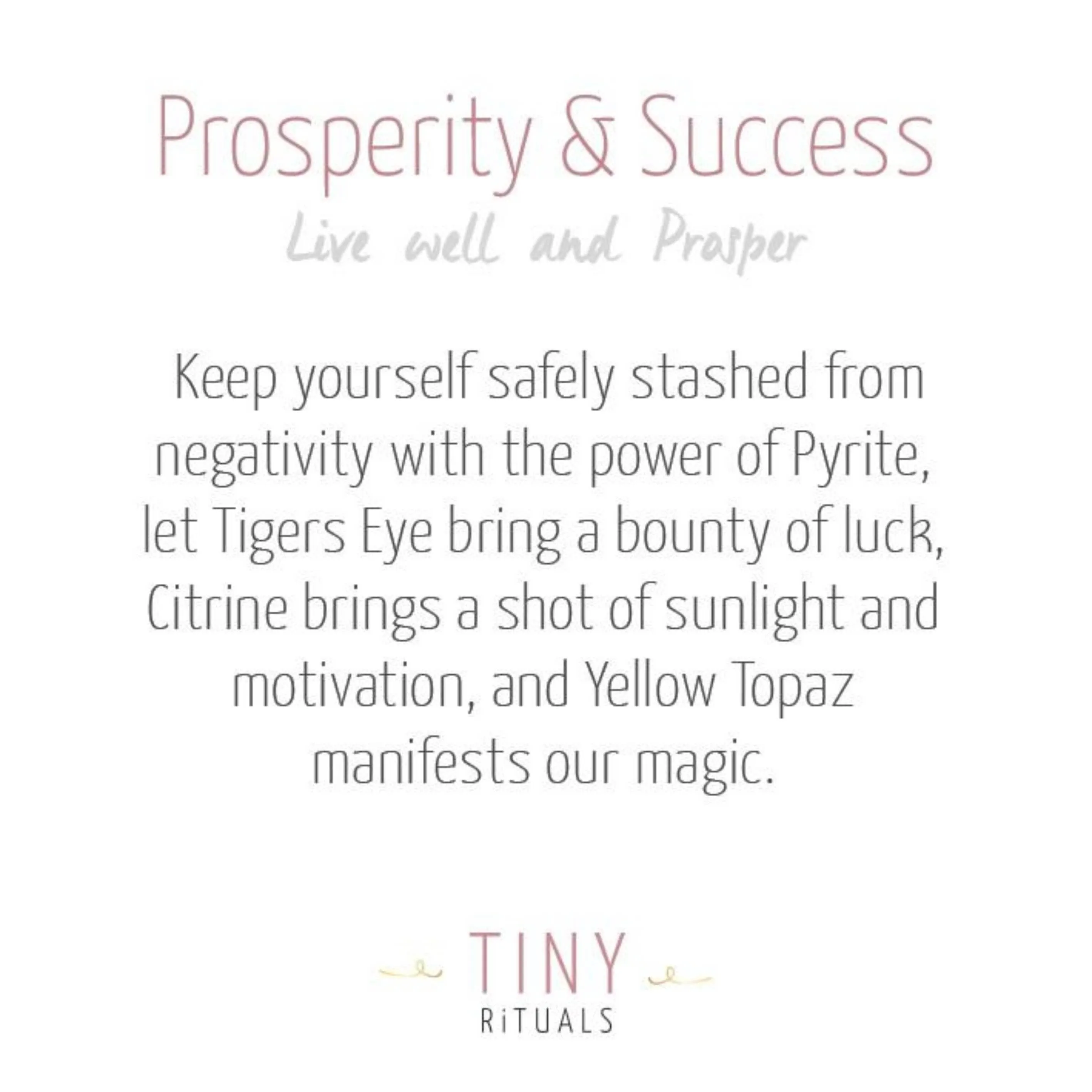 Prosperity & Success Pack by Tiny Rituals